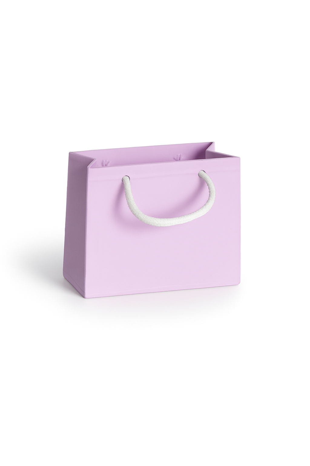 The Classic Mini – Custom Color Gift Bag